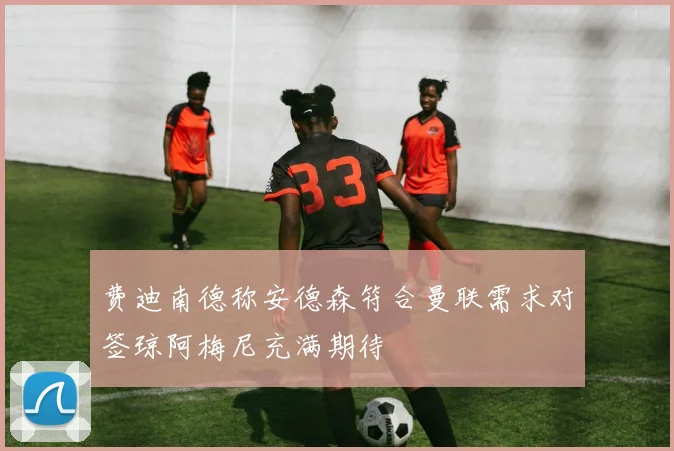 费迪南德称安德森符合曼联需求对签琼阿梅尼充满期待