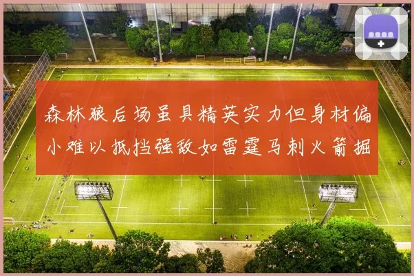 森林狼后场虽具精英实力但身材偏小难以抵挡强敌如雷霆马刺火箭掘金