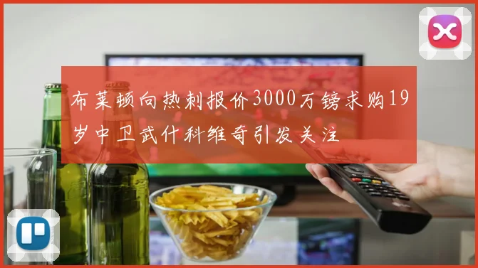 布莱顿向热刺报价3000万镑求购19岁中卫武什科维奇引发关注