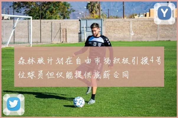 森林狼计划在自由市场积极引援4号位球员但仅能提供底薪合同